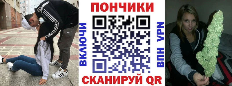 Купить закладки  Снежногорск  Бошки Шишки Ganja 